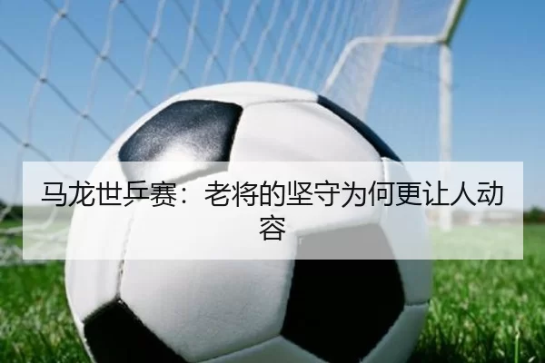 马龙世乒赛：老将的坚守为何更让人动容